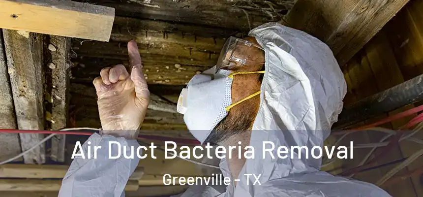 Air Duct Bacteria Removal Greenville - TX