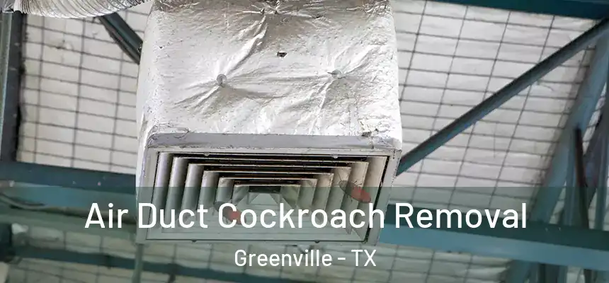  Air Duct Cockroach Removal Greenville - TX