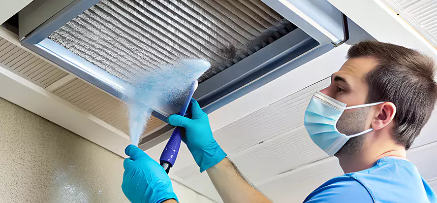 Proactive Dryer Vent & Auxiliary Duct Pollen Cleanup in Greenville, TX