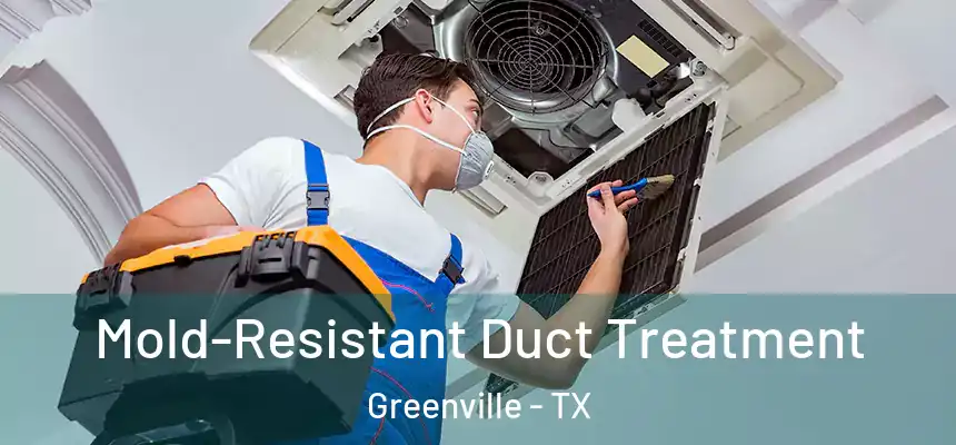  Mold-Resistant Duct Treatment Greenville - TX