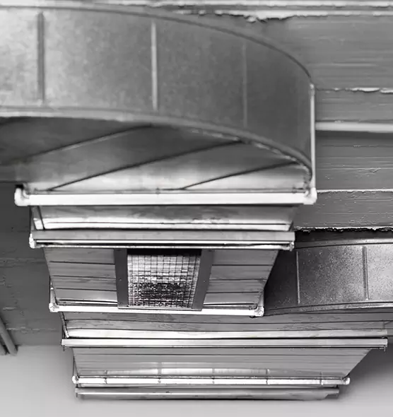 Professional Air Duct Pet Hair Removal in Greenville, TX