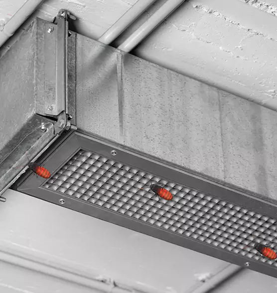 Affordable Insect Removal from Air Ducts in Greenville, TX