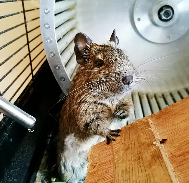 Why Homeowners & Businesses Trust Us Greenville, TX