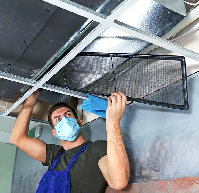 Why Homeowners Businesses Trust Us in Greenville, TX