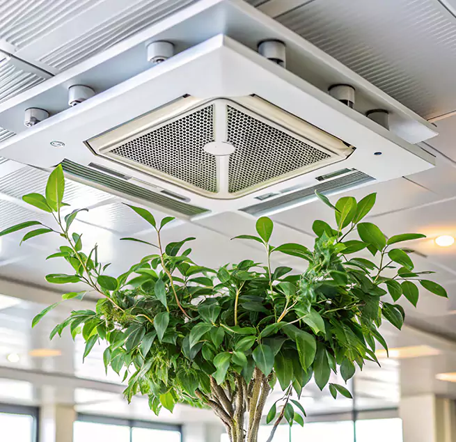 Why Homeowners & Businesses Trust Us in Greenville, TX