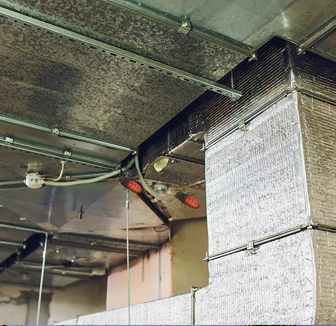 Why Homeowners & Businesses Trust Us Greenville, TX?