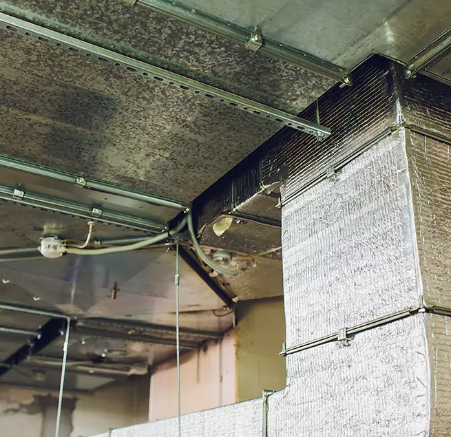 Why Homeowners & Businesses Trust Us in Greenville, TX?